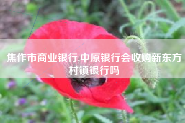 焦作市商业银行,中原银行会收购新东方村镇银行吗