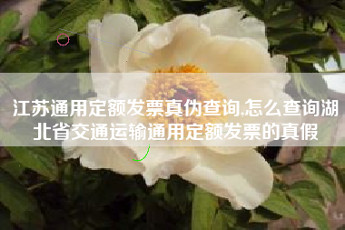 江苏通用定额发票真伪查询,怎么查询湖北省交通运输通用定额发票的真假