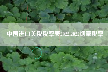中国进口关税税率表2022,2022烟草税率