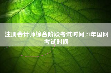 注册会计师综合阶段考试时间,21年国网考试时间
