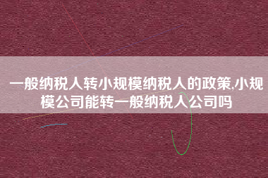 一般纳税人转小规模纳税人的政策,小规模公司能转一般纳税人公司吗