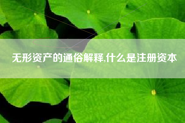 无形资产的通俗解释,什么是注册资本