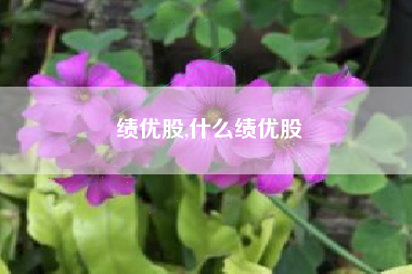 绩优股,什么绩优股
