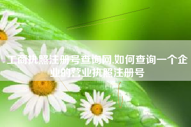 工商执照注册号查询网,如何查询一个企业的营业执照注册号