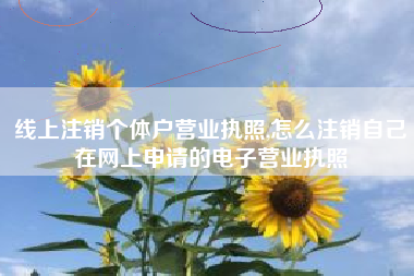 线上注销个体户营业执照,怎么注销自己在网上申请的电子营业执照