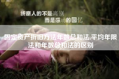 固定资产折旧方法年数总和法,平均年限法和年数总和法的区别