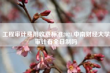 工程审计费用收费标准2021,中南财经大学审计有全日制吗