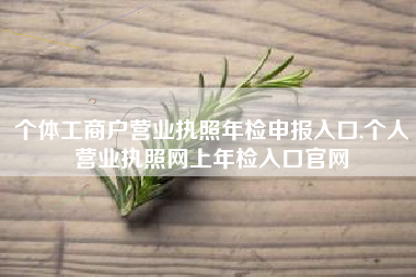 个体工商户营业执照年检申报入口,个人营业执照网上年检入口官网