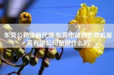 东莞公司注册代理,东莞市诚创誉商务服务有限公司是做什么的