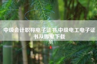 中级会计职称电子证书,中级电工电子证书从哪里下载