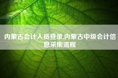 内蒙古会计人员登录,内蒙古中级会计信息采集流程