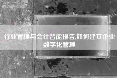 行业管理与会计智能报告,如何建立企业数字化管理
