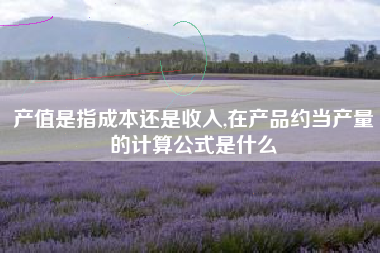 产值是指成本还是收入,在产品约当产量的计算公式是什么