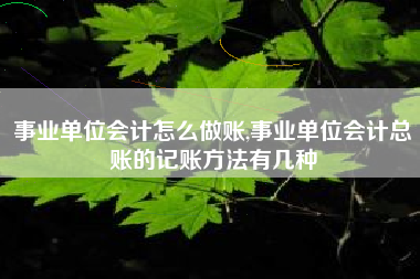 事业单位会计怎么做账,事业单位会计总账的记账方法有几种