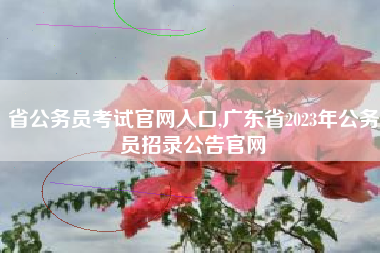 省公务员考试官网入口,广东省2023年公务员招录公告官网