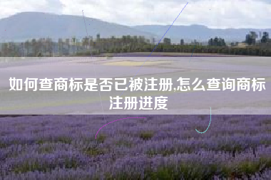如何查商标是否已被注册,怎么查询商标注册进度