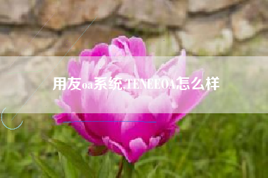 用友oa系统,TENEEOA怎么样
