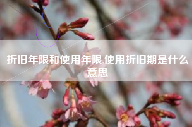 折旧年限和使用年限,使用折旧期是什么意思