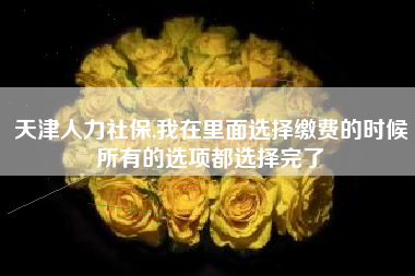 天津人力社保,我在里面选择缴费的时候所有的选项都选择完了
