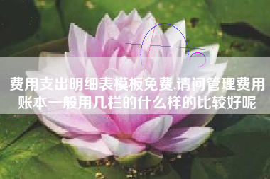 费用支出明细表模板免费,请问管理费用账本一般用几栏的什么样的比较好呢