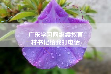 广东学习网继续教育(
村书记给我打电话)