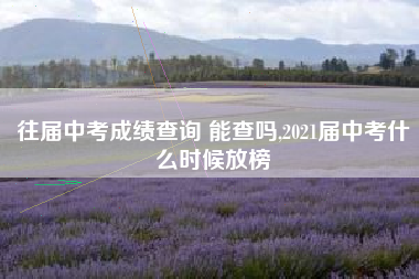 往届中考成绩查询 能查吗,2021届中考什么时候放榜