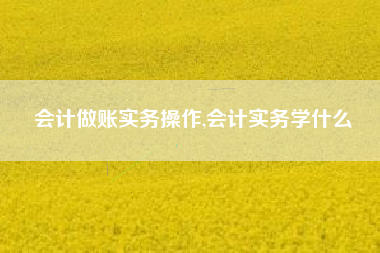会计做账实务操作,会计实务学什么