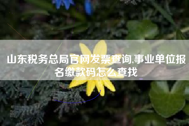 山东税务总局官网发票查询,事业单位报名缴款码怎么查找