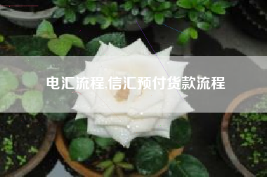 电汇流程,信汇预付货款流程