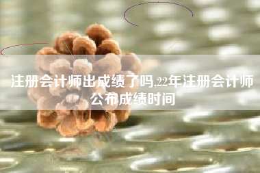 注册会计师出成绩了吗,22年注册会计师公布成绩时间