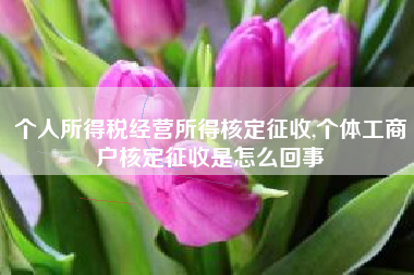 个人所得税经营所得核定征收,个体工商户核定征收是怎么回事