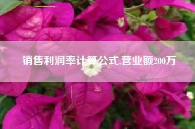 销售利润率计算公式,营业额200万