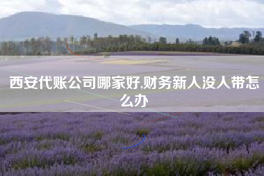 西安代账公司哪家好,财务新人没人带怎么办