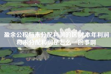 盈余公积与未分配利润的区别,本年利润和未分配利润是怎么一回事啊