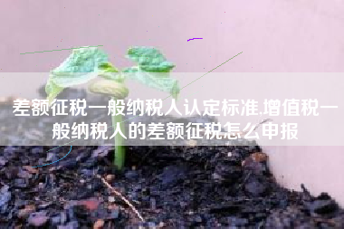 差额征税一般纳税人认定标准,增值税一般纳税人的差额征税怎么申报