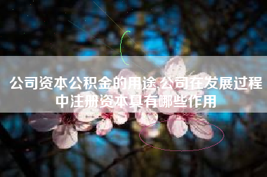 公司资本公积金的用途,公司在发展过程中注册资本具有哪些作用