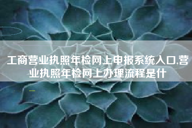 工商营业执照年检网上申报系统入口,营业执照年检网上办理流程是什