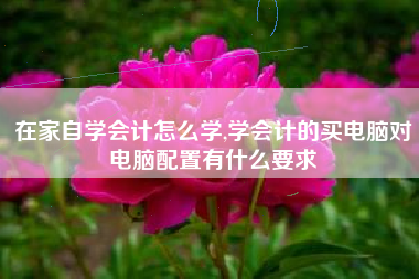 在家自学会计怎么学,学会计的买电脑对电脑配置有什么要求