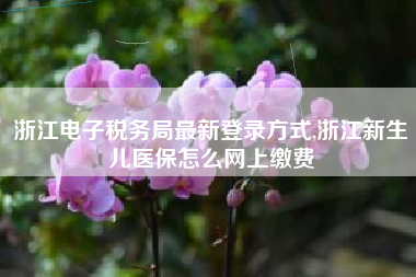 浙江电子税务局最新登录方式,浙江新生儿医保怎么网上缴费