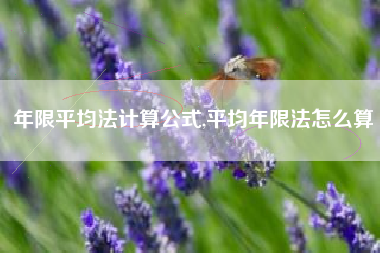 年限平均法计算公式,平均年限法怎么算
