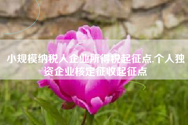 小规模纳税人企业所得税起征点,个人独资企业核定征收起征点