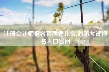 注册会计师报名官网是什么,消防考试报名入口官网