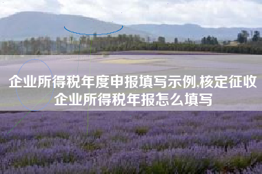 企业所得税年度申报填写示例,核定征收企业所得税年报怎么填写