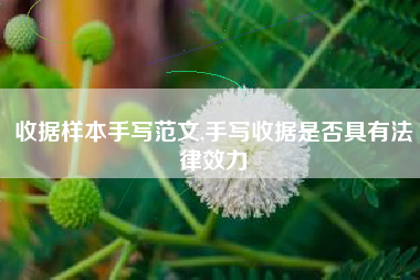 收据样本手写范文,手写收据是否具有法律效力