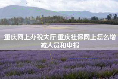重庆网上办税大厅,重庆社保网上怎么增减人员和申报