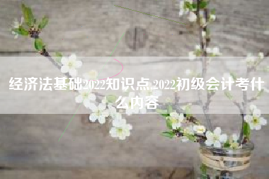 经济法基础2022知识点,2022初级会计考什么内容