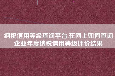 纳税信用等级查询平台,在网上如何查询企业年度纳税信用等级评价结果