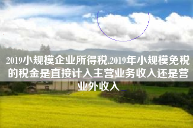 2019小规模企业所得税,2019年小规模免税的税金是直接计入主营业务收入还是营业外收入