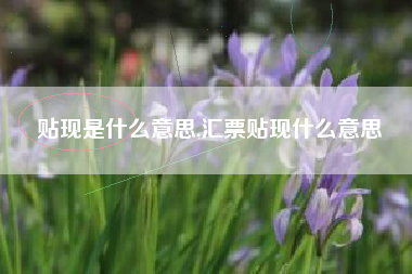 贴现是什么意思,汇票贴现什么意思