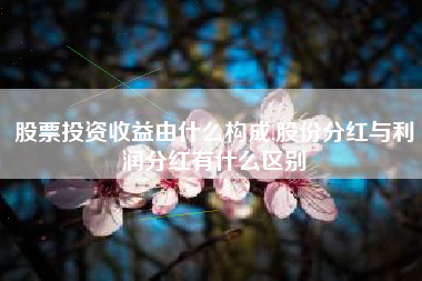 股票投资收益由什么构成,股份分红与利润分红有什么区别